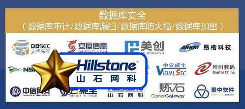 深度賦能 山石網(wǎng)科入圍2024年中國金融行業(yè)網(wǎng)絡(luò)安全市場全景圖