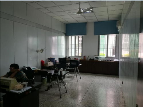 南平市建甌市建筑抗震性能檢測鑒定及工程質(zhì)量評估服務(wù)指南